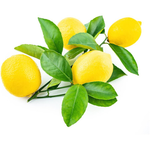 Zitrone mit Blatt 5kg